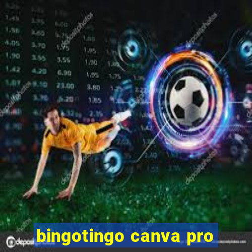 bingotingo canva pro